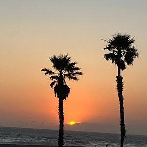 Meet your Posher, Beach Walker